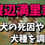 渡辺満里奈の愛犬の死因が衝撃！気になる犬種は？