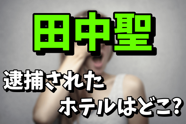 田中聖が逮捕された名古屋のホテルの場所はどこ？共犯者はいるの？